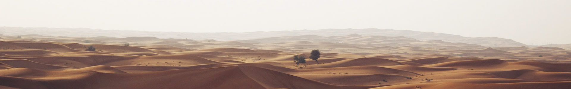 ʳеƼ޹˾